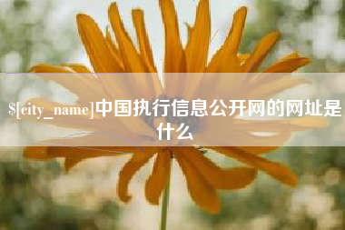 遂宁中国执行信息公开网的网址是什么