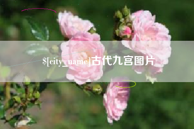 遂宁古代九宫图片