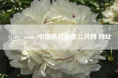 遂宁中国执行信息公开网 网址