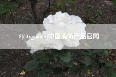 遂宁中国消防产品官网