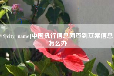 遂宁中国执行信息网查到立案信息怎么办