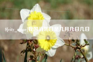 遂宁我国消防日是几月几日几日