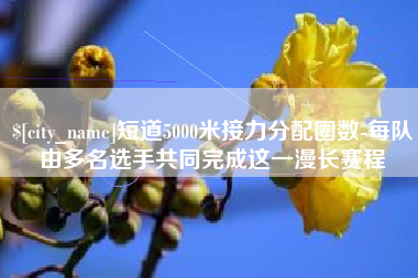 遂宁短道5000米接力分配圈数-每队由多名选手共同完成这一漫长赛程