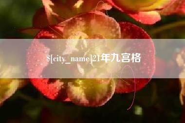 遂宁21年九宫格