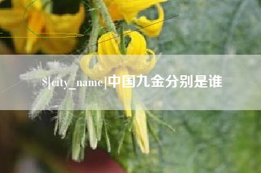 遂宁中国九金分别是谁