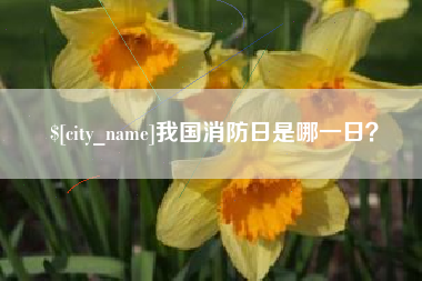 遂宁我国消防日是哪一日？