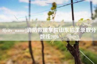 遂宁消防救援学院山东招生录取分数线2020