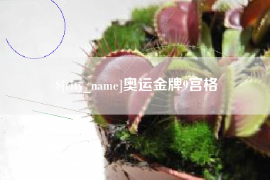 遂宁奥运金牌9宫格