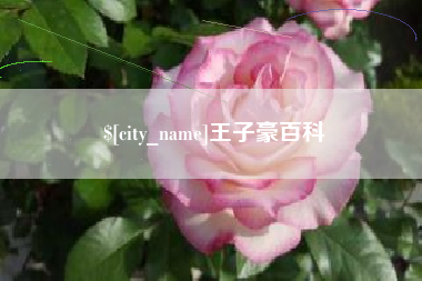 遂宁王子豪百科