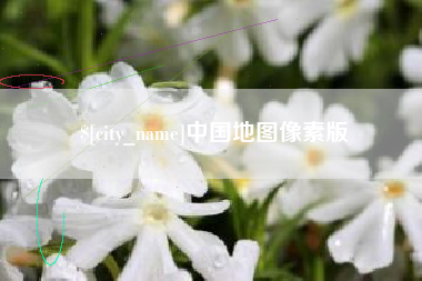 遂宁中国地图像素版