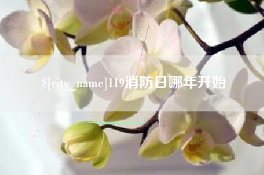 遂宁119消防日哪年开始