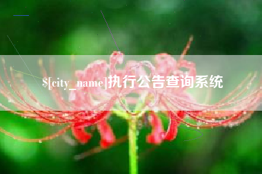遂宁执行公告查询系统