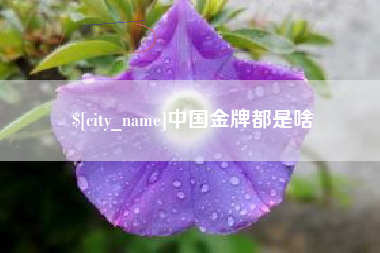 遂宁中国金牌都是啥
