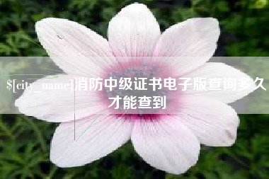 遂宁消防中级证书电子版查询多久才能查到