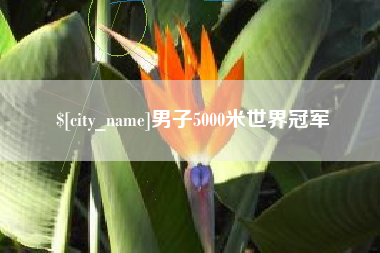 遂宁男子5000米世界冠军