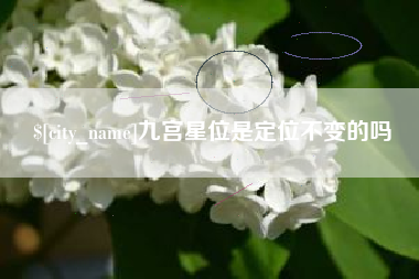 遂宁九宫星位是定位不变的吗