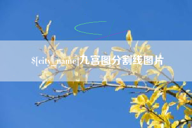 遂宁九宫图分割线图片