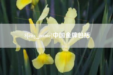 遂宁中国金牌包括