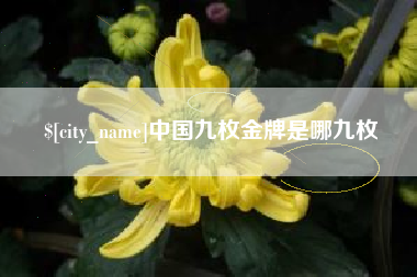 遂宁中国九枚金牌是哪九枚