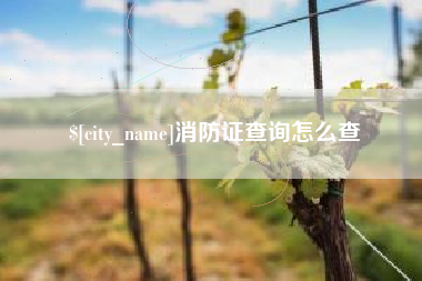 遂宁消防证查询怎么查
