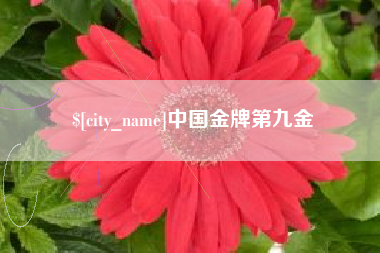 遂宁中国金牌第九金