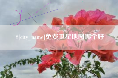 遂宁免费卫星地图哪个好