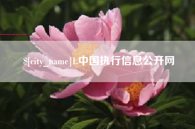 遂宁1.中国执行信息公开网