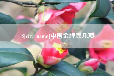 遂宁中国金牌哪几项