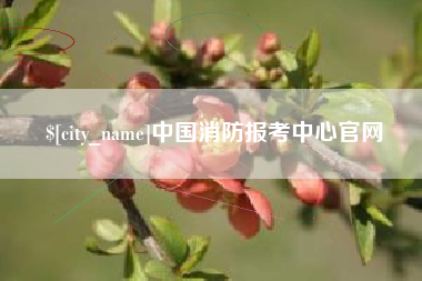 遂宁中国消防报考中心官网