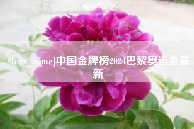 遂宁中国金牌榜2024巴黎奥运会最新