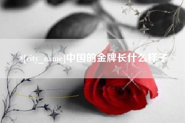 遂宁中国的金牌长什么样子