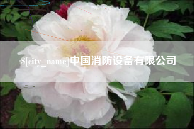 遂宁中国消防设备有限公司