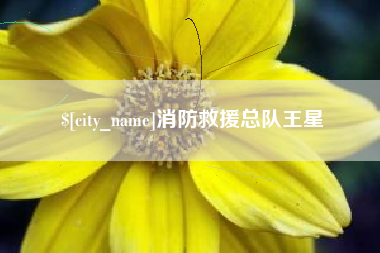 遂宁消防救援总队王星