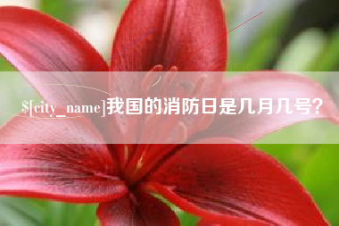遂宁我国的消防日是几月几号？