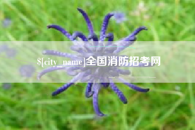遂宁全国消防招考网