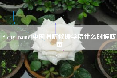 遂宁中国消防救援学院什么时候政审