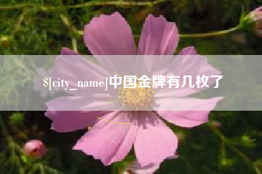 遂宁中国金牌有几枚了