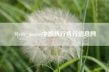 遂宁中国执行执行信息网