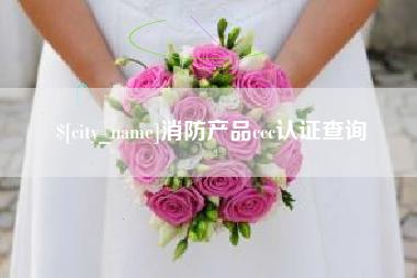 遂宁消防产品ccc认证查询