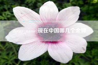 遂宁现在中国哪几个金牌