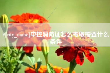 遂宁中控消防证怎么考取需要什么条件