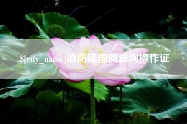 遂宁消防证国网查询操作证