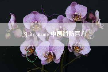 遂宁中国消防官方