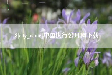 遂宁中国执行公开网下载