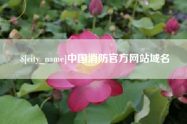 遂宁中国消防官方网站域名