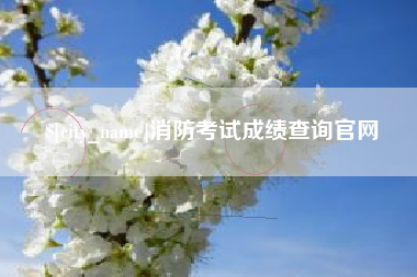 遂宁消防考试成绩查询官网