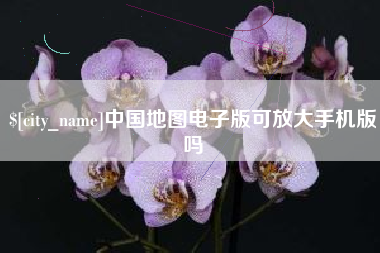 遂宁中国地图电子版可放大手机版吗