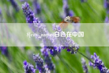 遂宁白色在中国