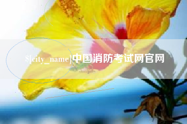 遂宁中国消防考试网官网