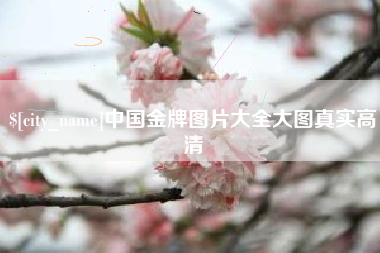 遂宁中国金牌图片大全大图真实高清